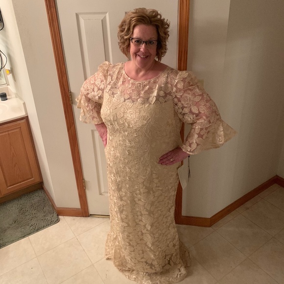 Adrianna Papell Plus Size Gown - Picture 1 of 5